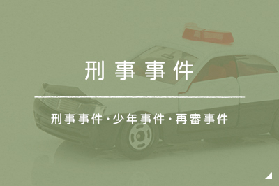 刑事事件 刑事事件・少年事件・再審事件